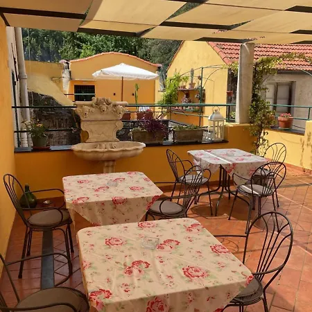 Scia Dina トイラーノ